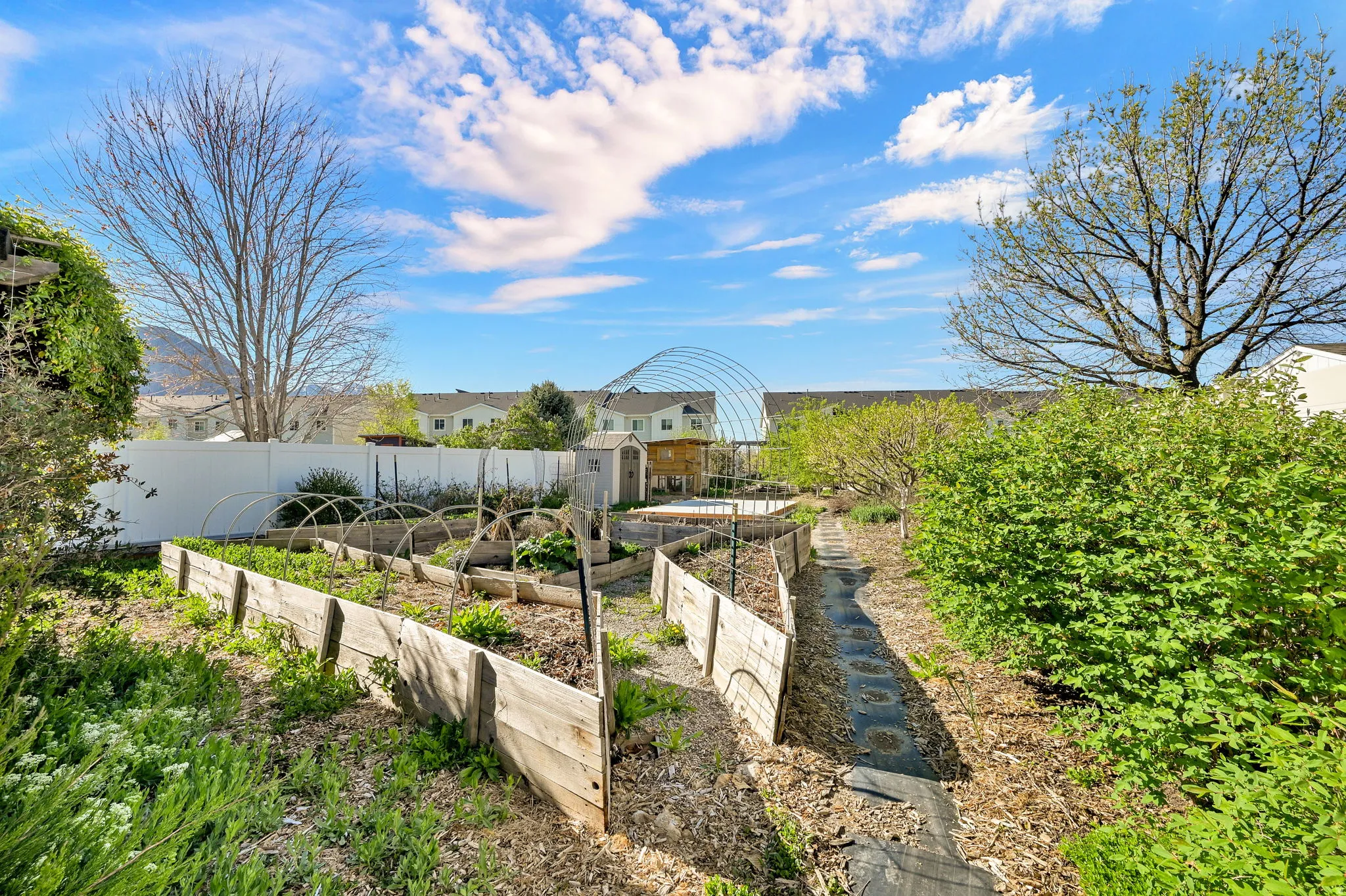 Backyard garden boxes