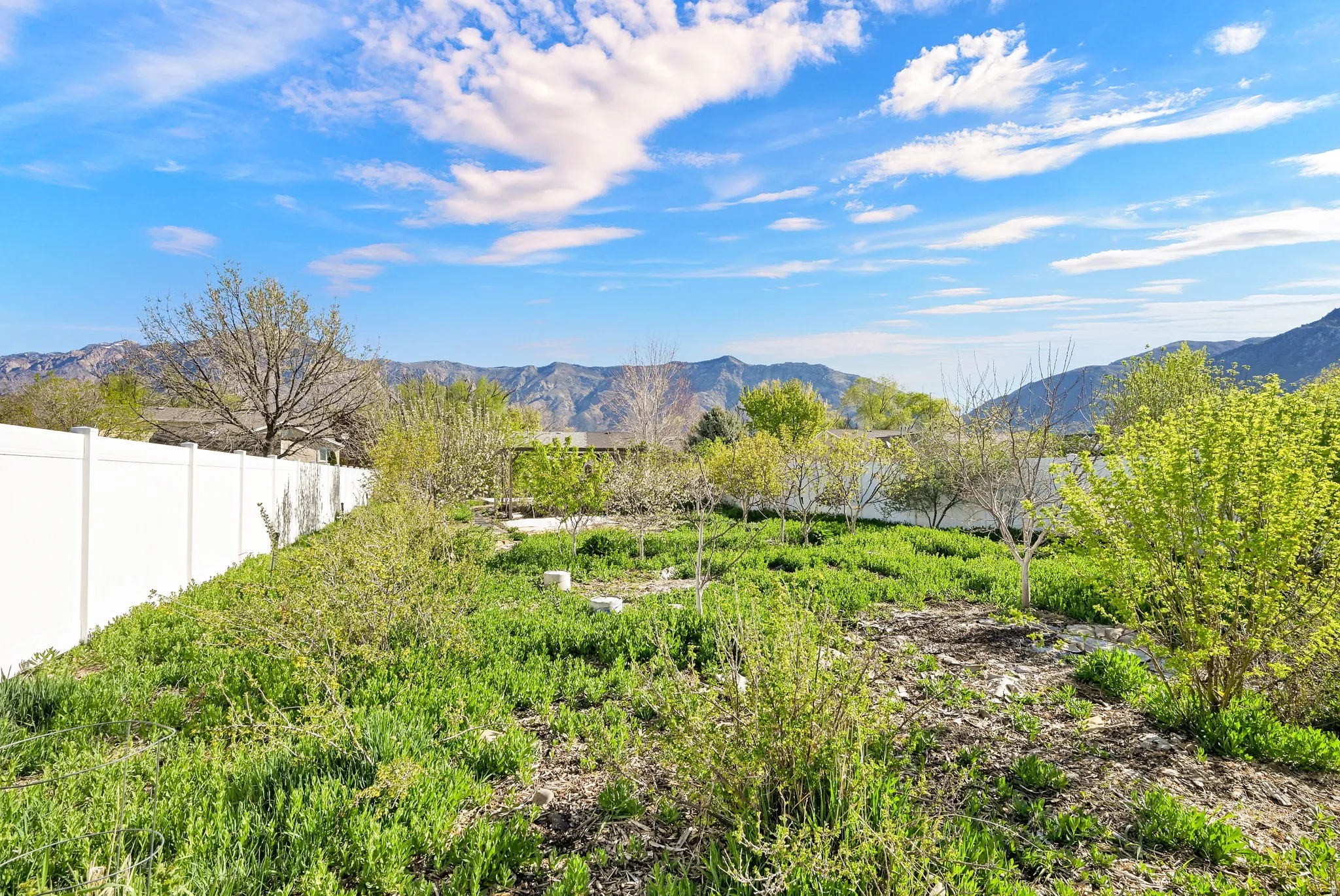 Backyard garden space and mountain views