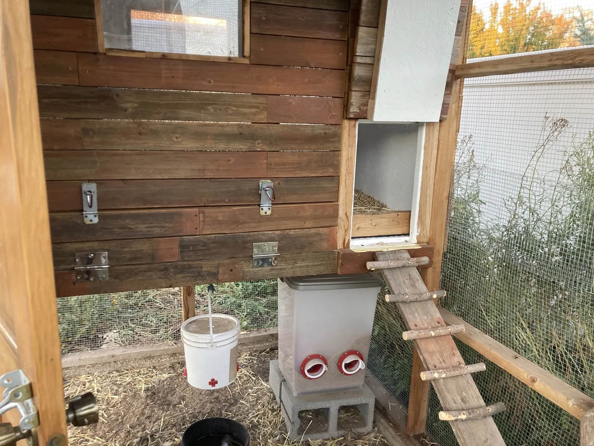 Exterior view of hen house in chicken coup-2025
