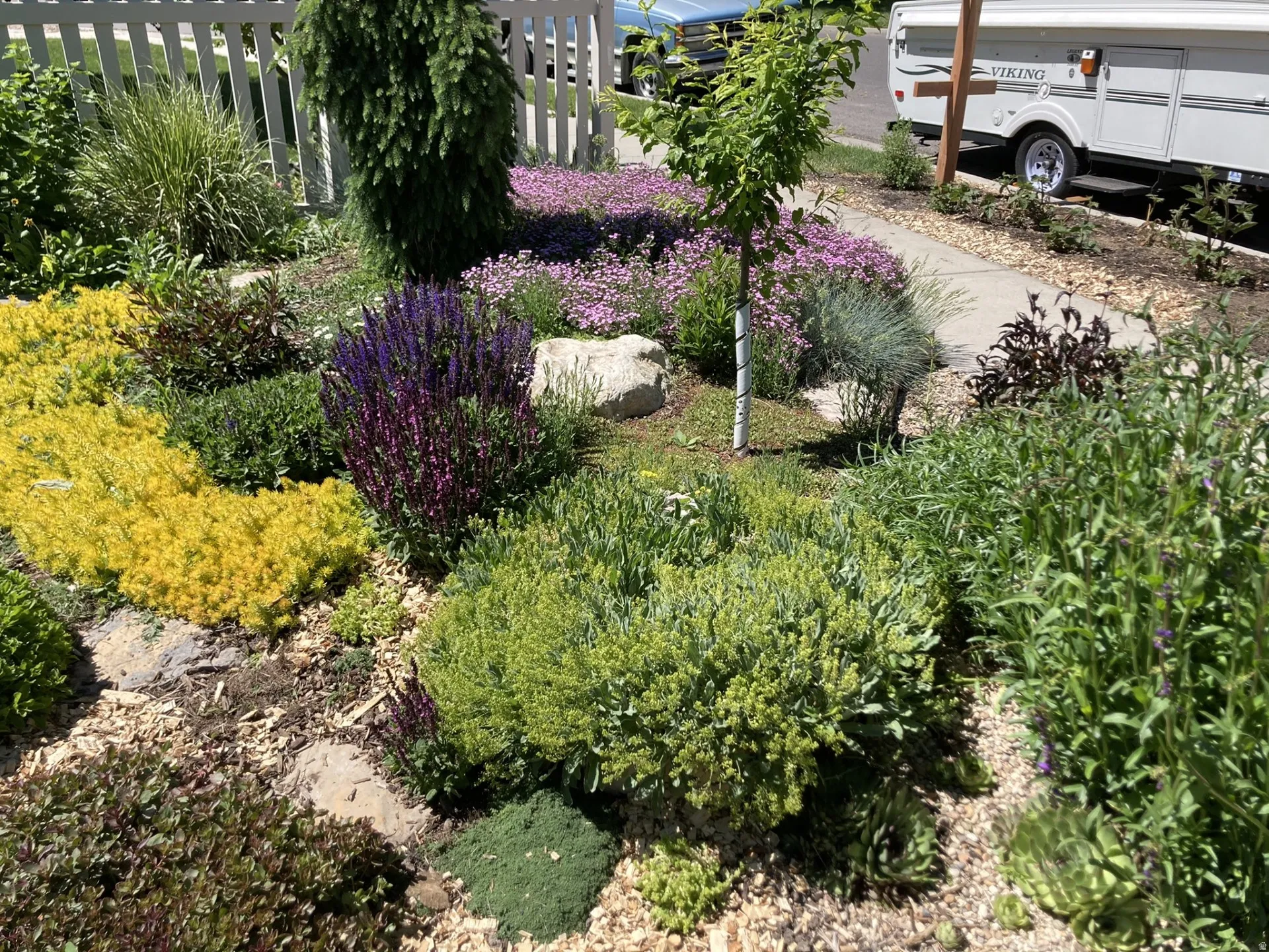 View of front yard in full bloom-2025