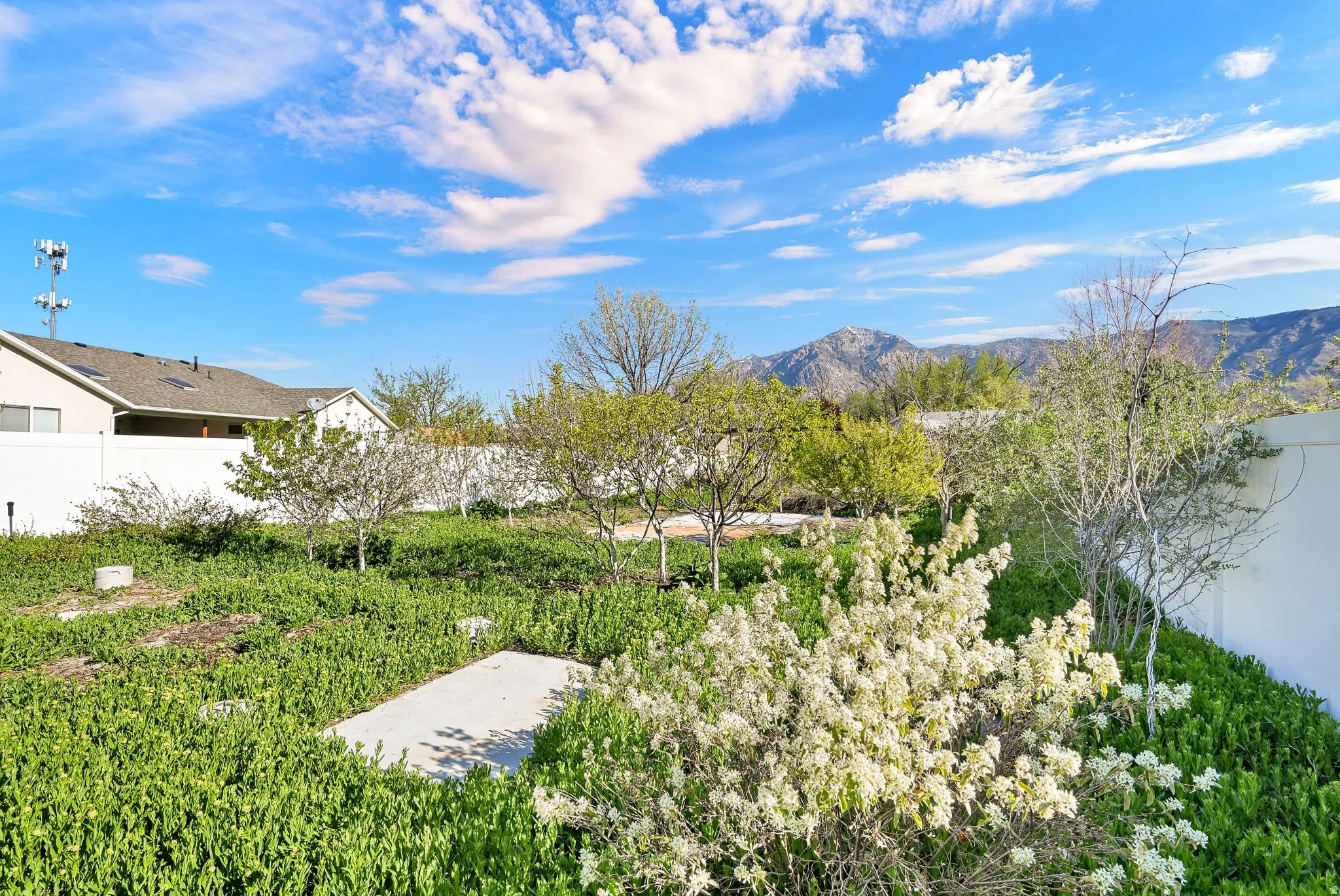 View of yard with fruit trees