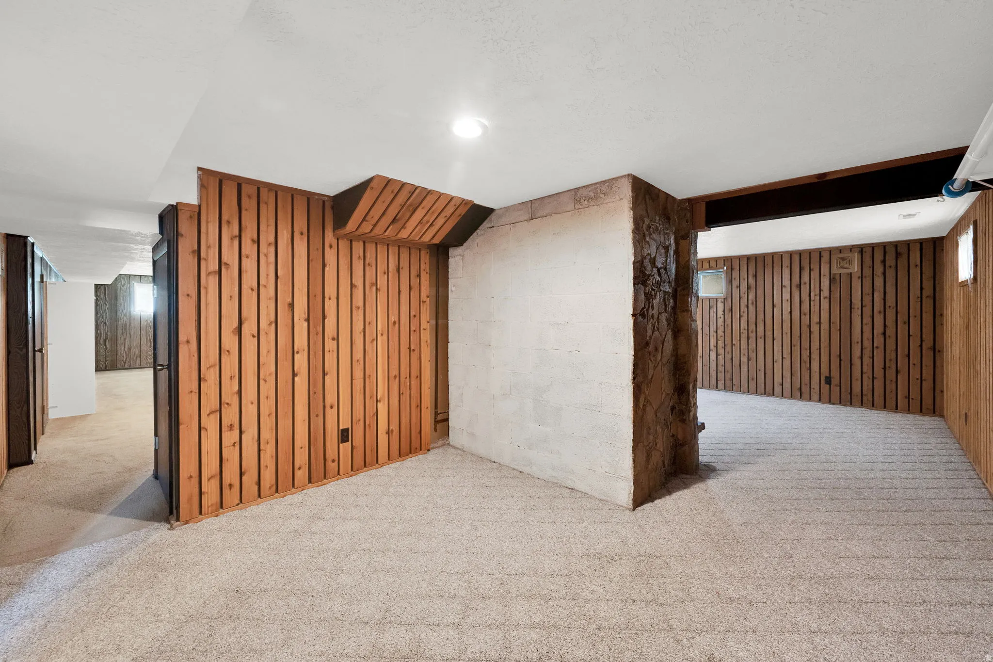 Additional living space with wood walls and light carpet