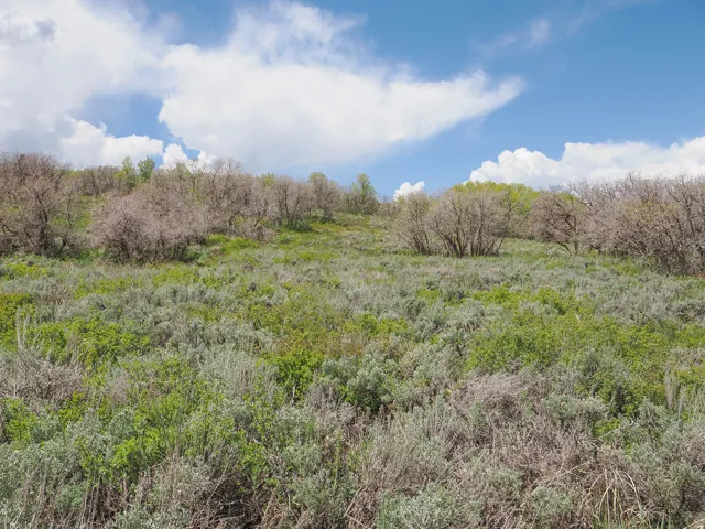 2230 Timber Lakes Dr, Heber City, Utah 84032