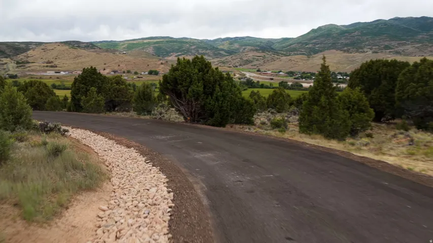 Paved road curving through a landscape featuring scattered evergreen trees