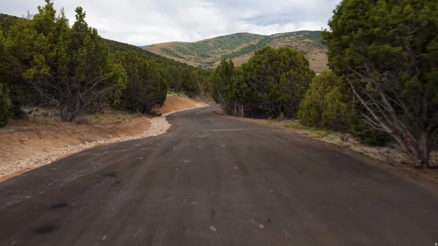 Paved road winding through a landscape of evergreen trees