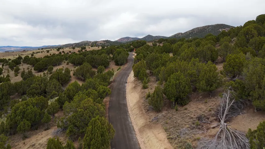 Paved road traversing rolling hills with extensive tree coverage and distant mountains under a cloudy sky