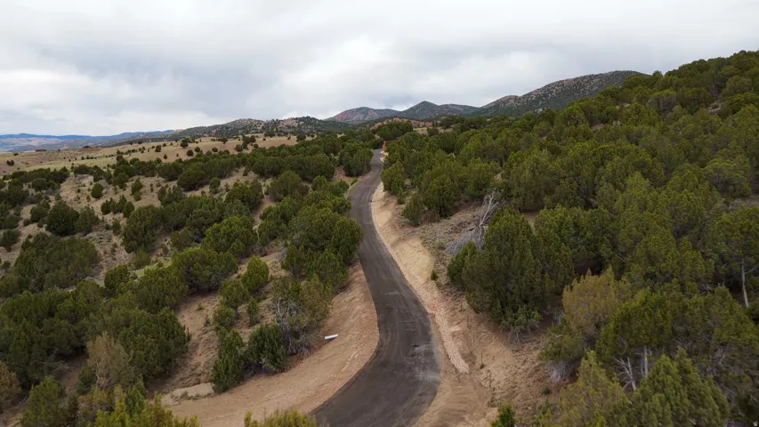 Paved road winding through a landscape of abundant evergreen trees