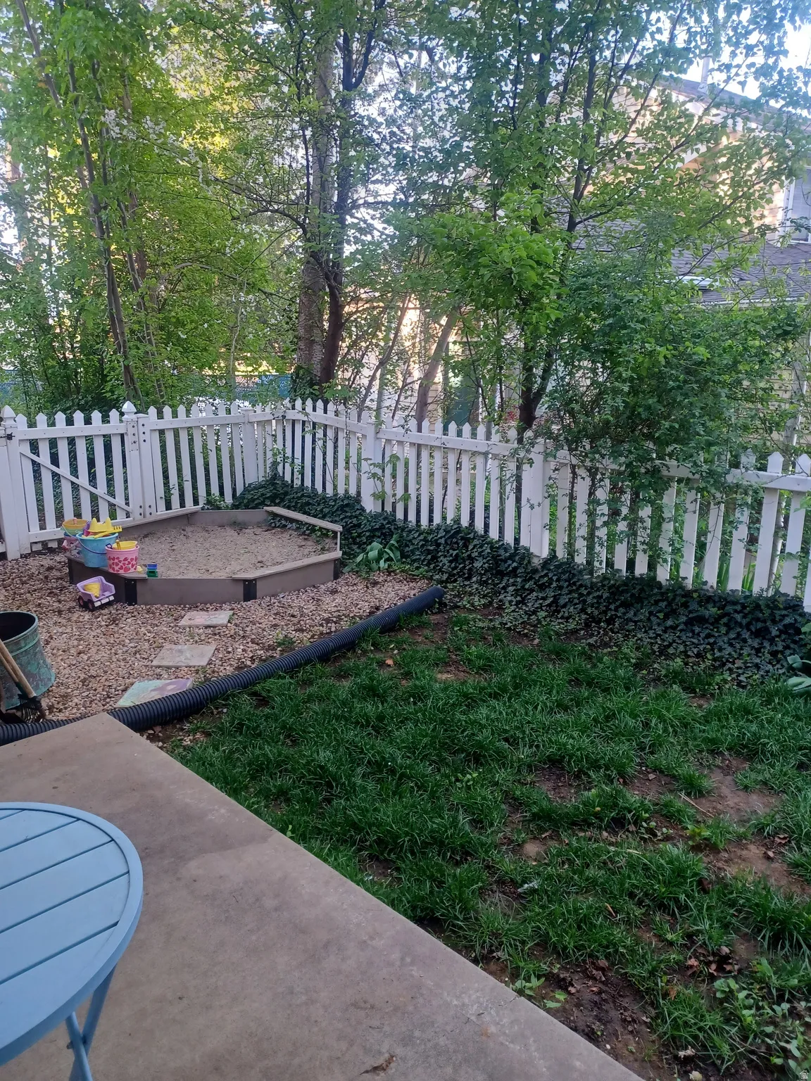 View of fenced backyard