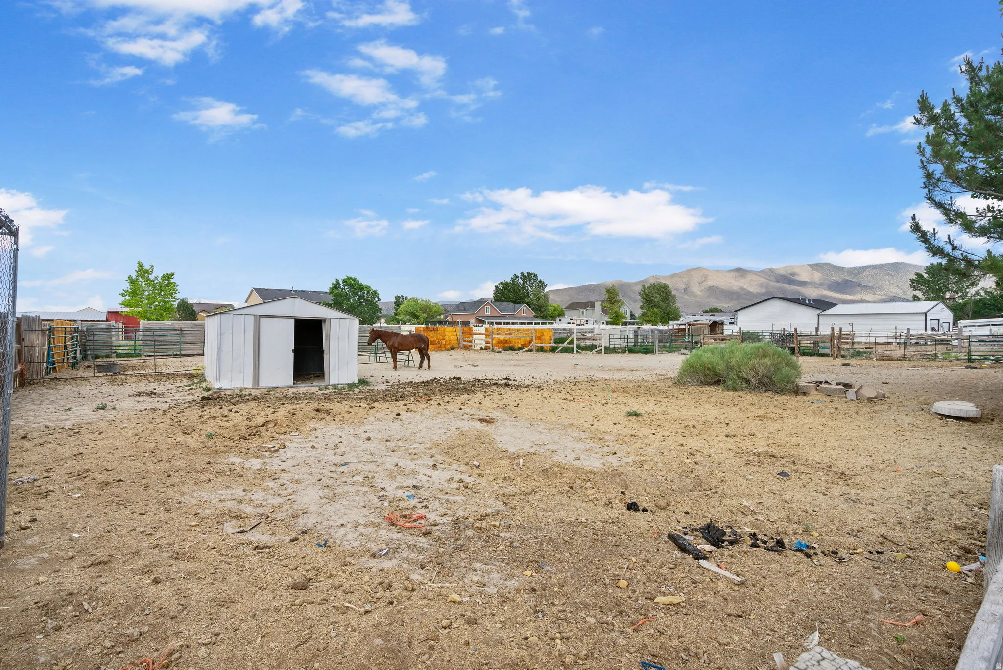 View of yard with a mountain view and a storage unit