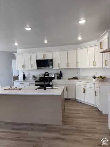 376 S Maple Dr, Salina, Utah 84654