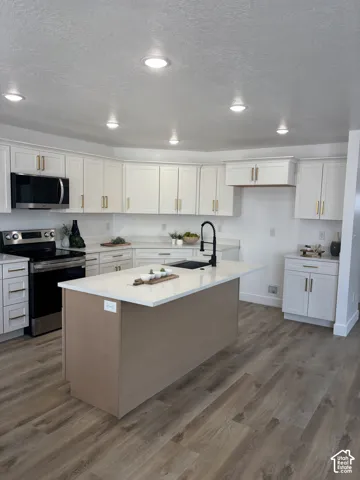 376 S Maple Dr, Salina, Utah 84654