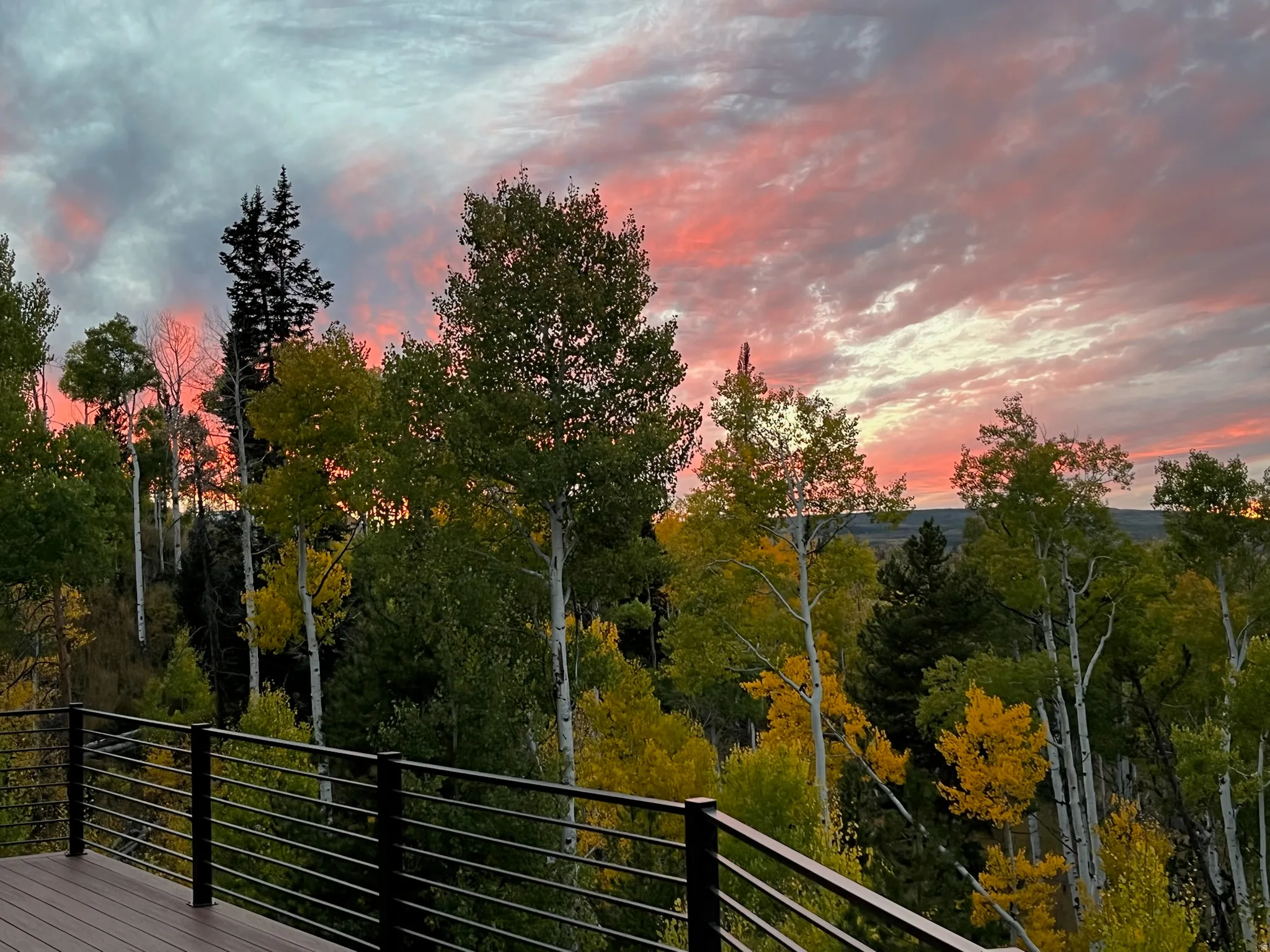 Wood-finish decking with contemporary horizontal metal railing overlooking a diverse tree line featuring varying foliage colors