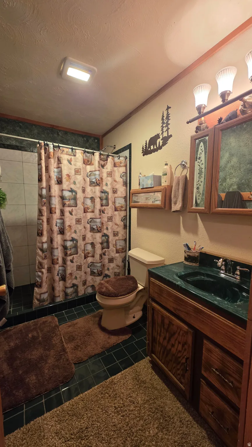 Bathroom featuring vanity, a shower with curtain, crown molding, and a textured ceiling