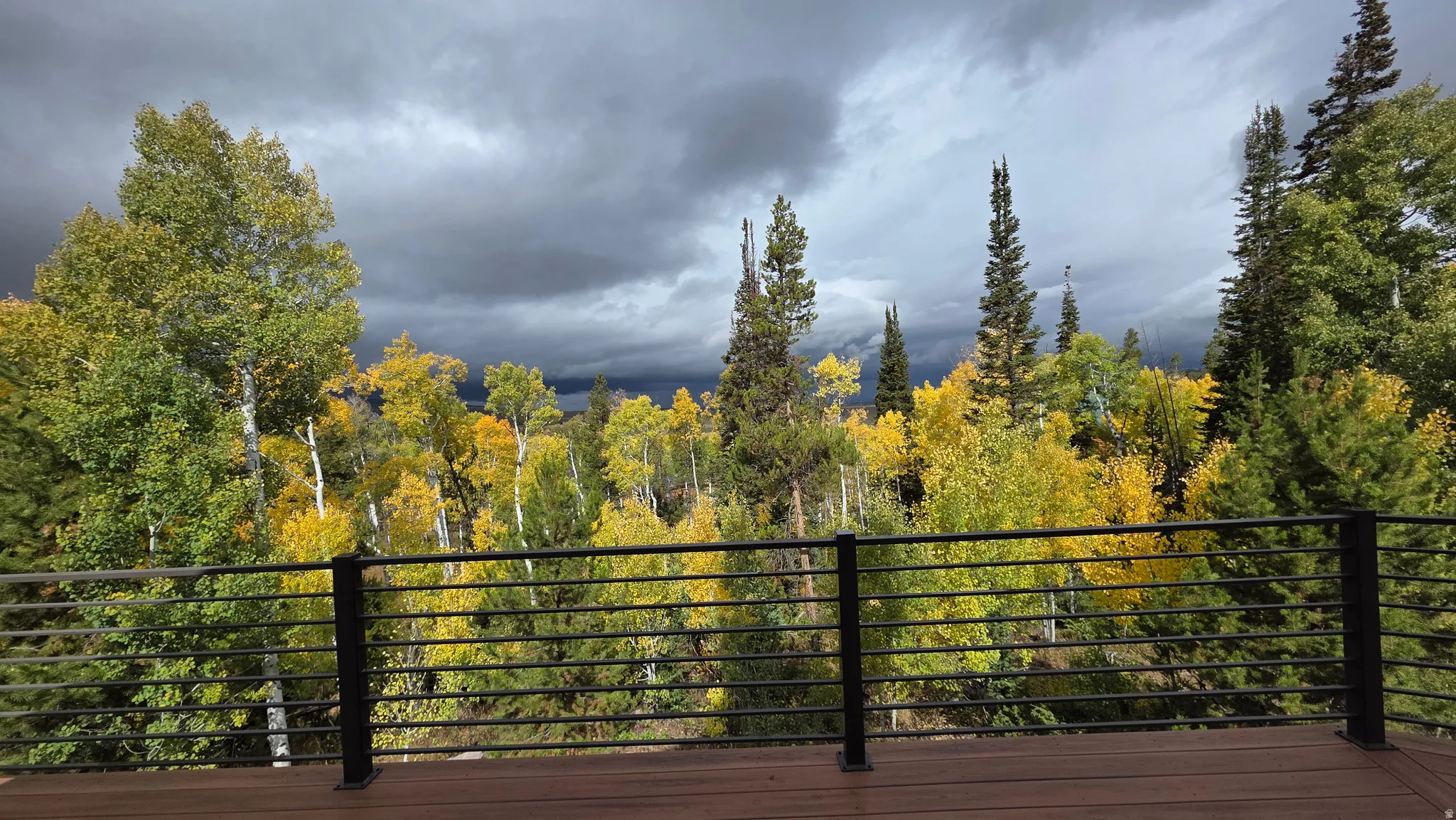 Wooden deck with a wooded view