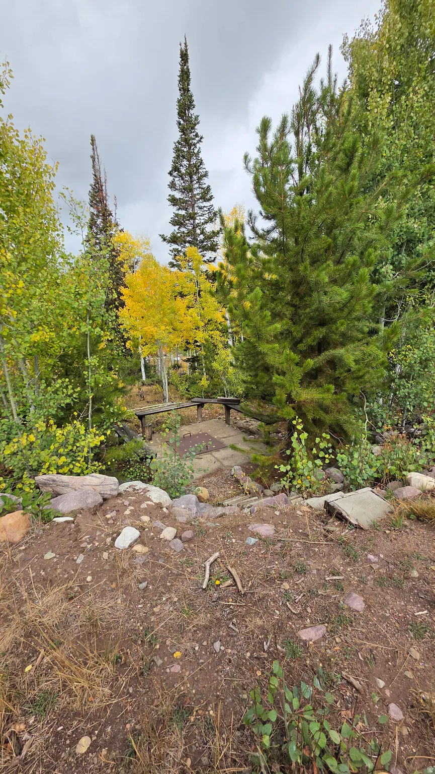 View of yard with view of wooded area