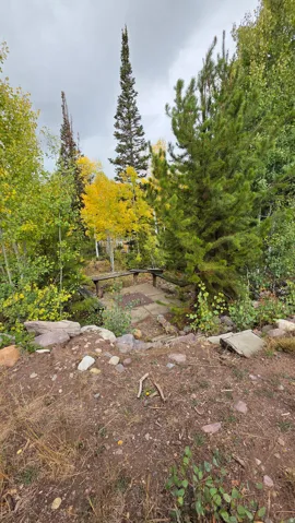 View of yard with view of wooded area