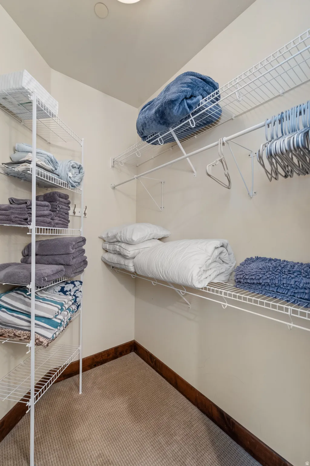 Walk in closet with carpet