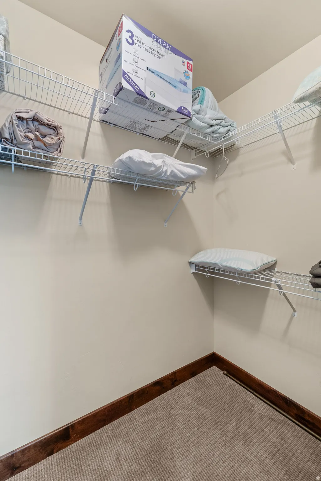 Walk in closet featuring carpet flooring