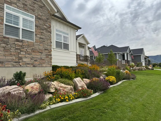 View of grassy yard