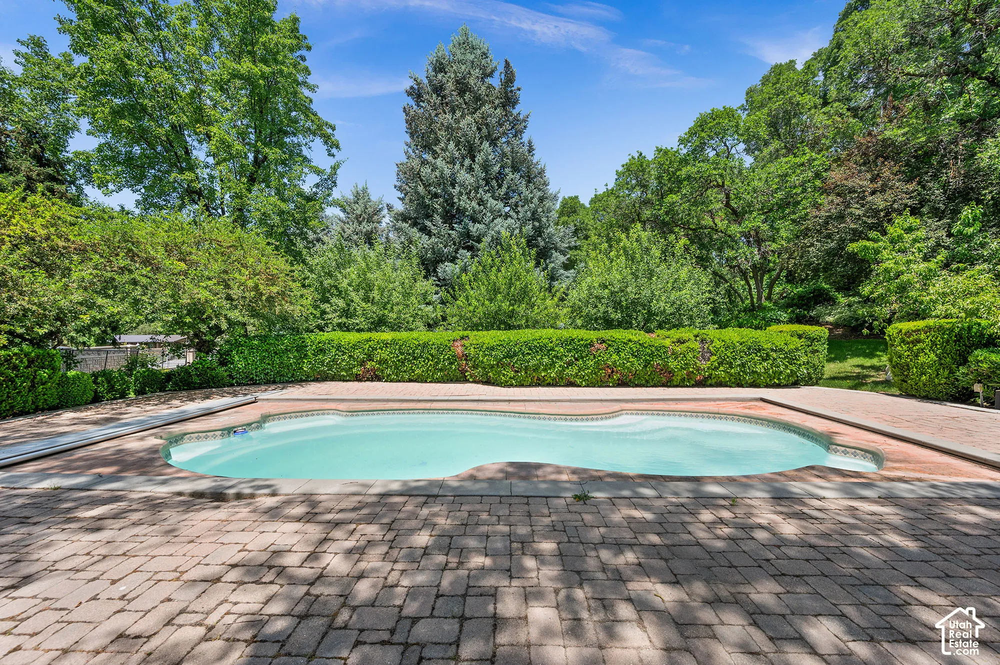 Lovely private pool area surrounded by hedges and trees.