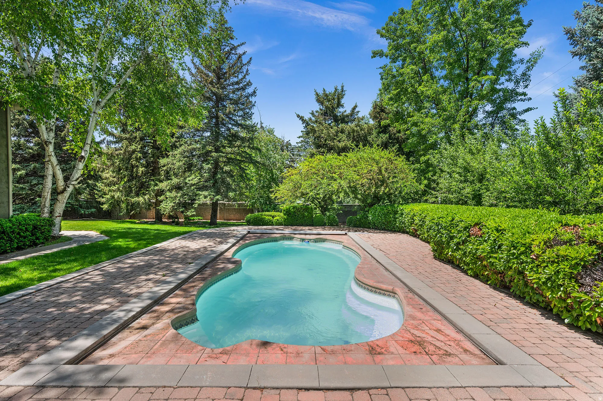 View of swimming pool and treed yard.