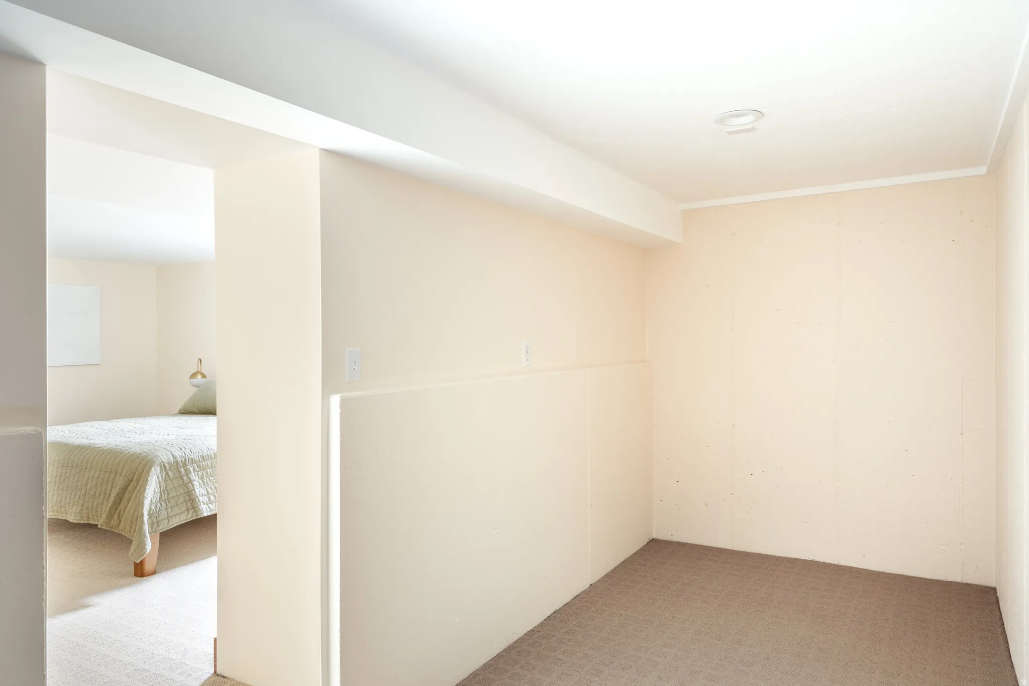 Below grade area with carpet floors