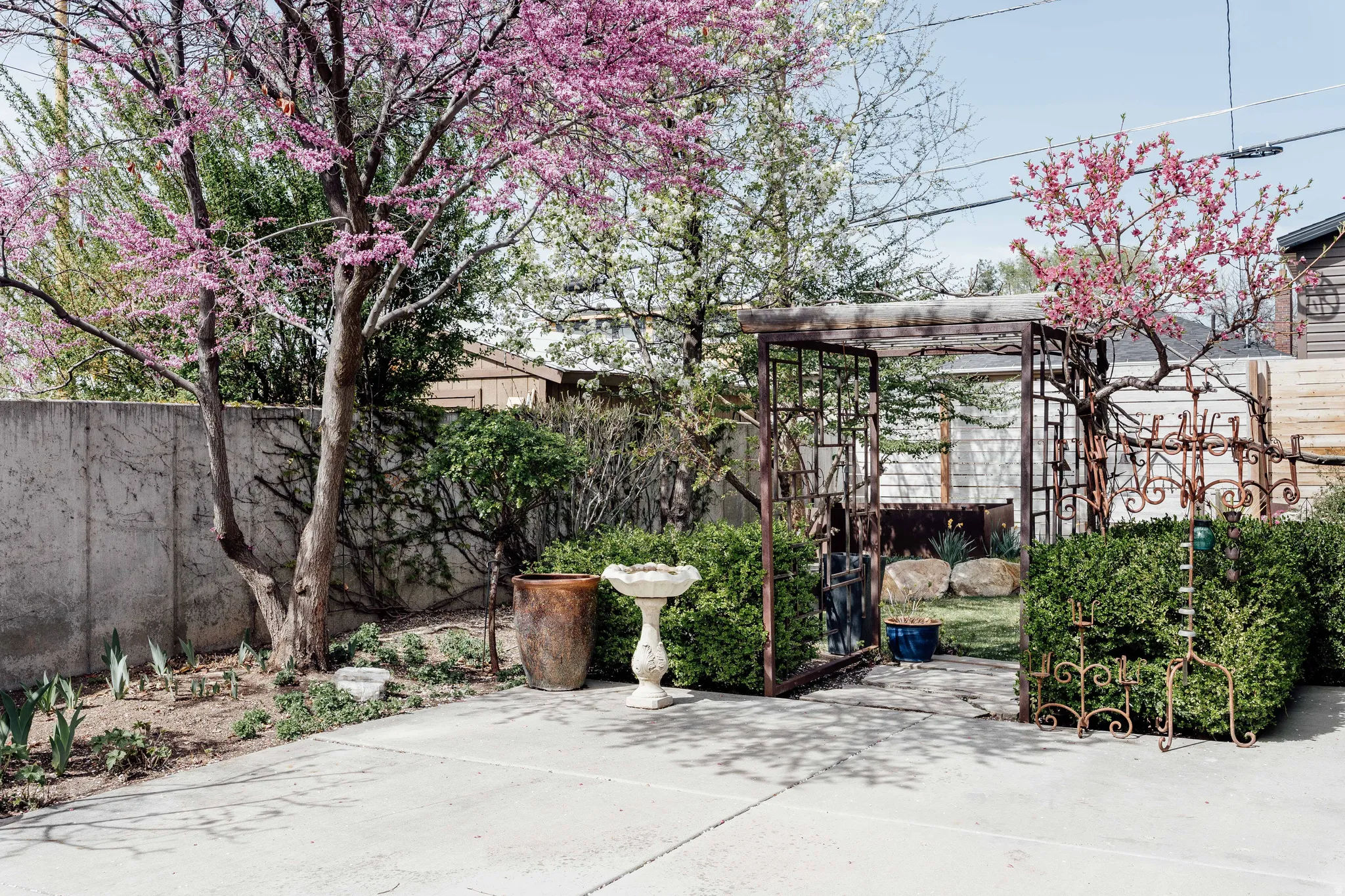 View of fenced backyard