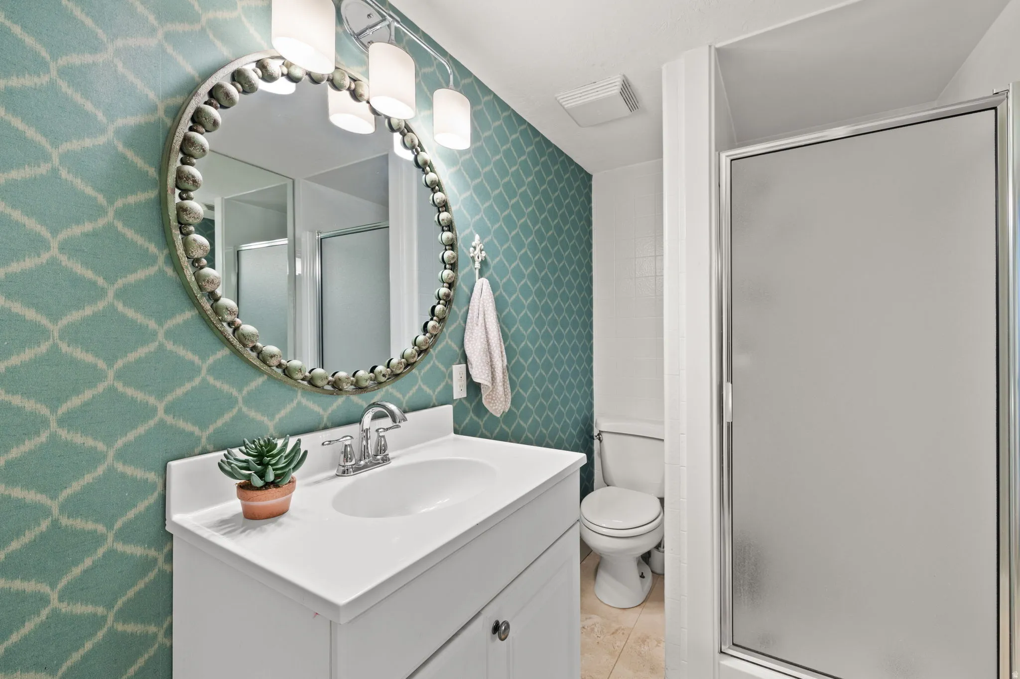 Lower level bathroom