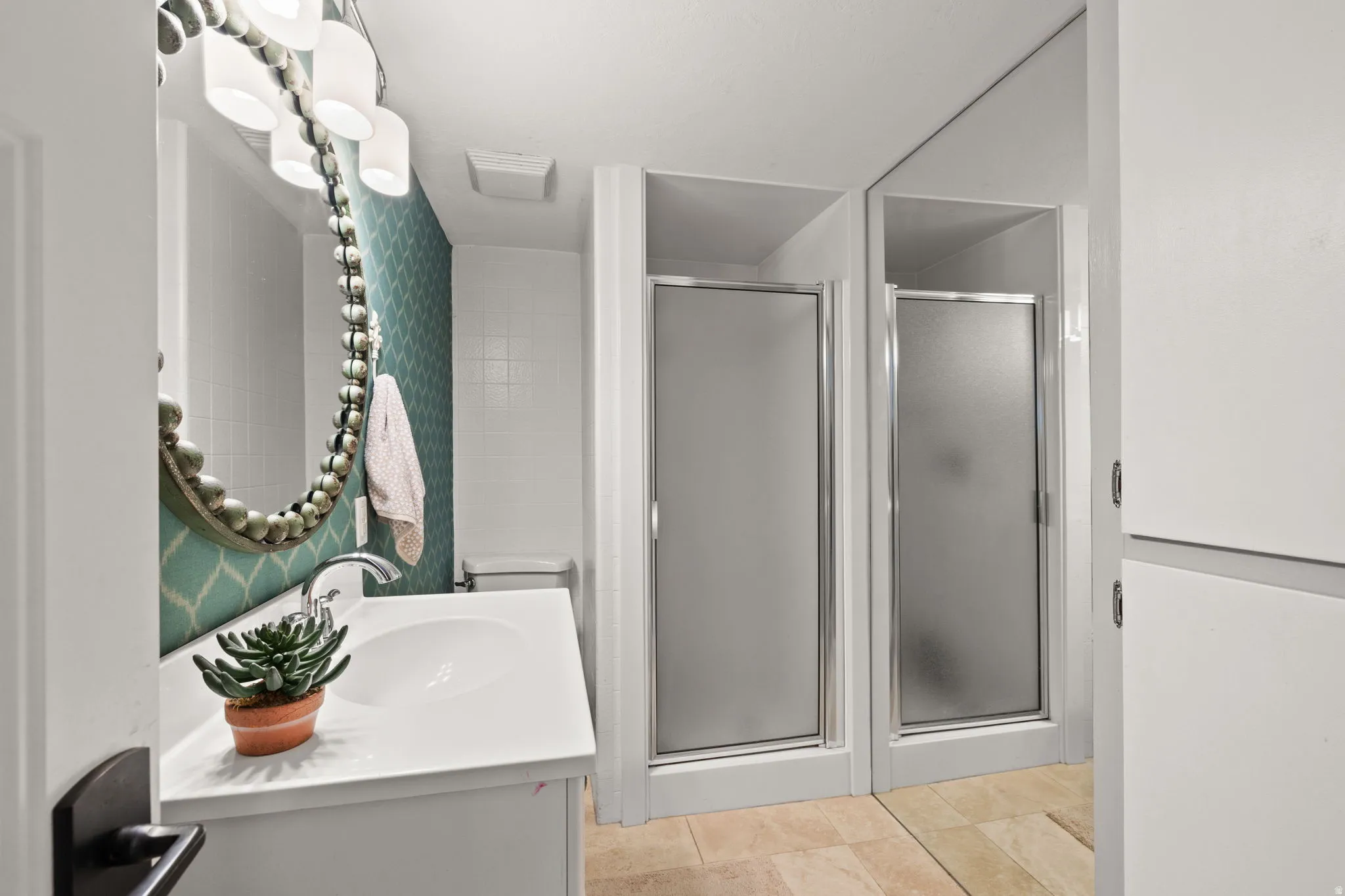 Lower level bathroom