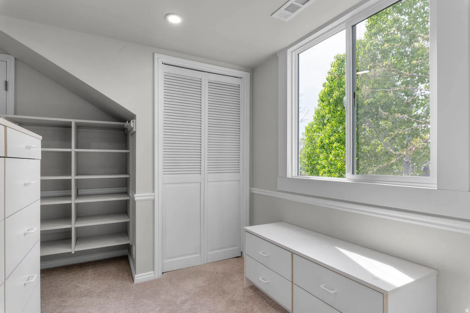 Walk in closet with light colored carpet