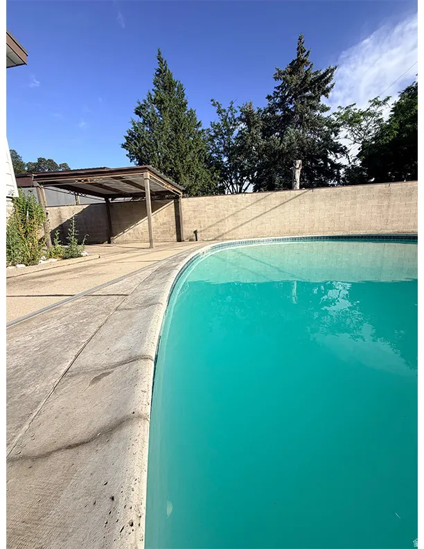 Curved swimming pool with light blue water, surrounded by concrete coping and a paved patio area