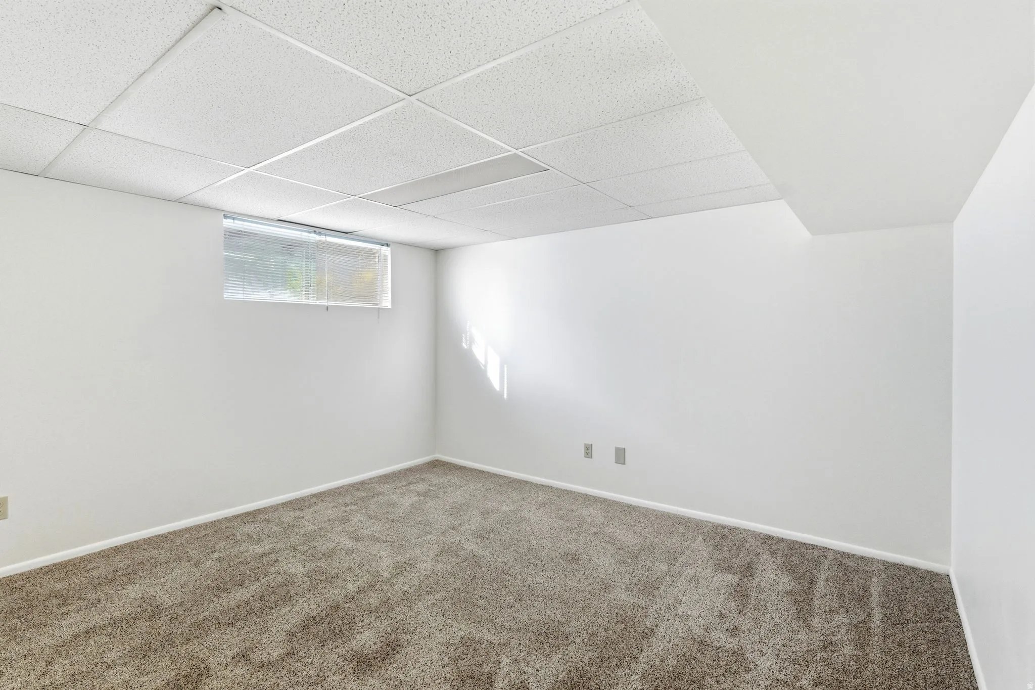 Below grade area featuring a drop ceiling and carpet