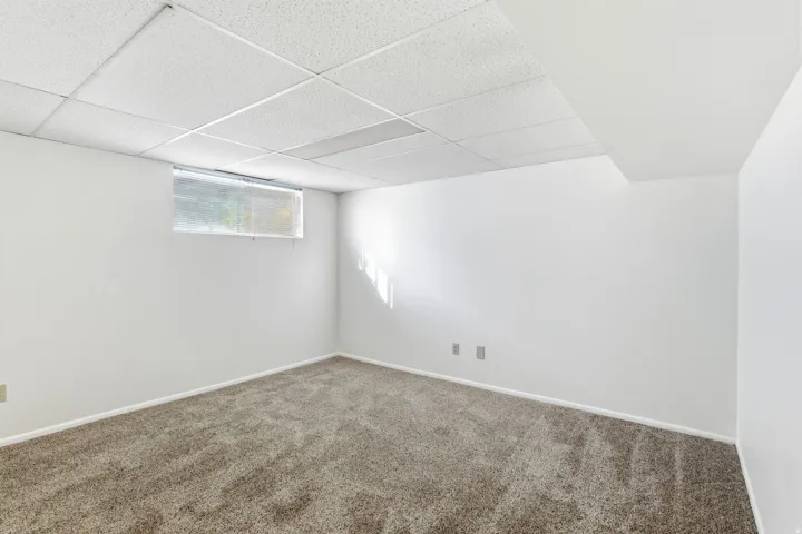 Below grade area featuring a drop ceiling and carpet