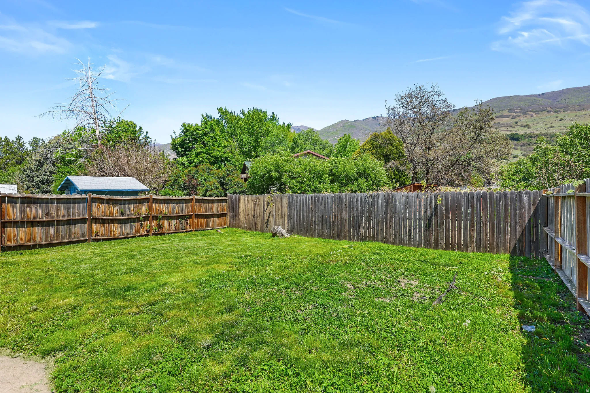 Expansive grassy yard area with perimeter wood fencing