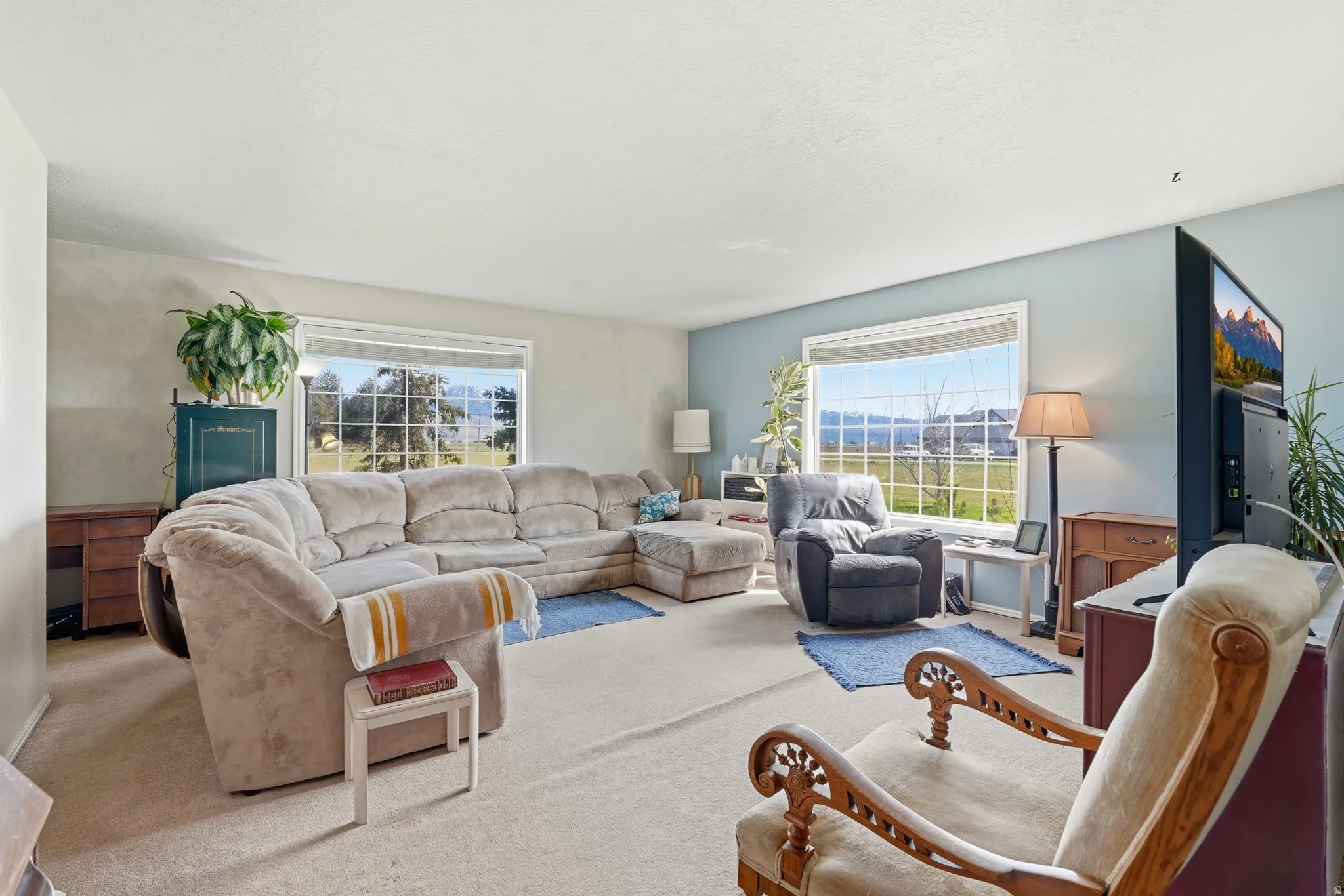 Carpeted living room featuring healthy amount of natural light