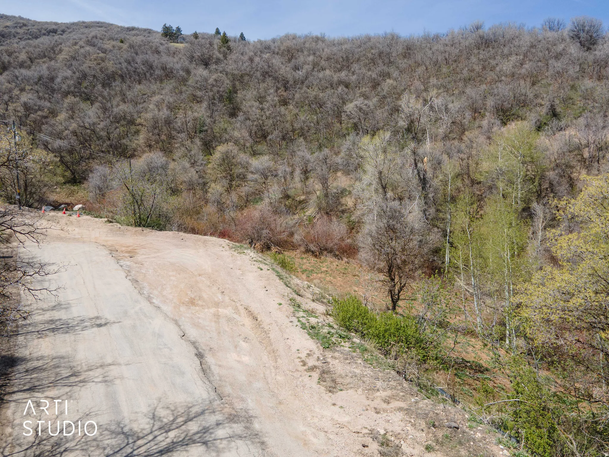 Bird's eye view of a heavily wooded area