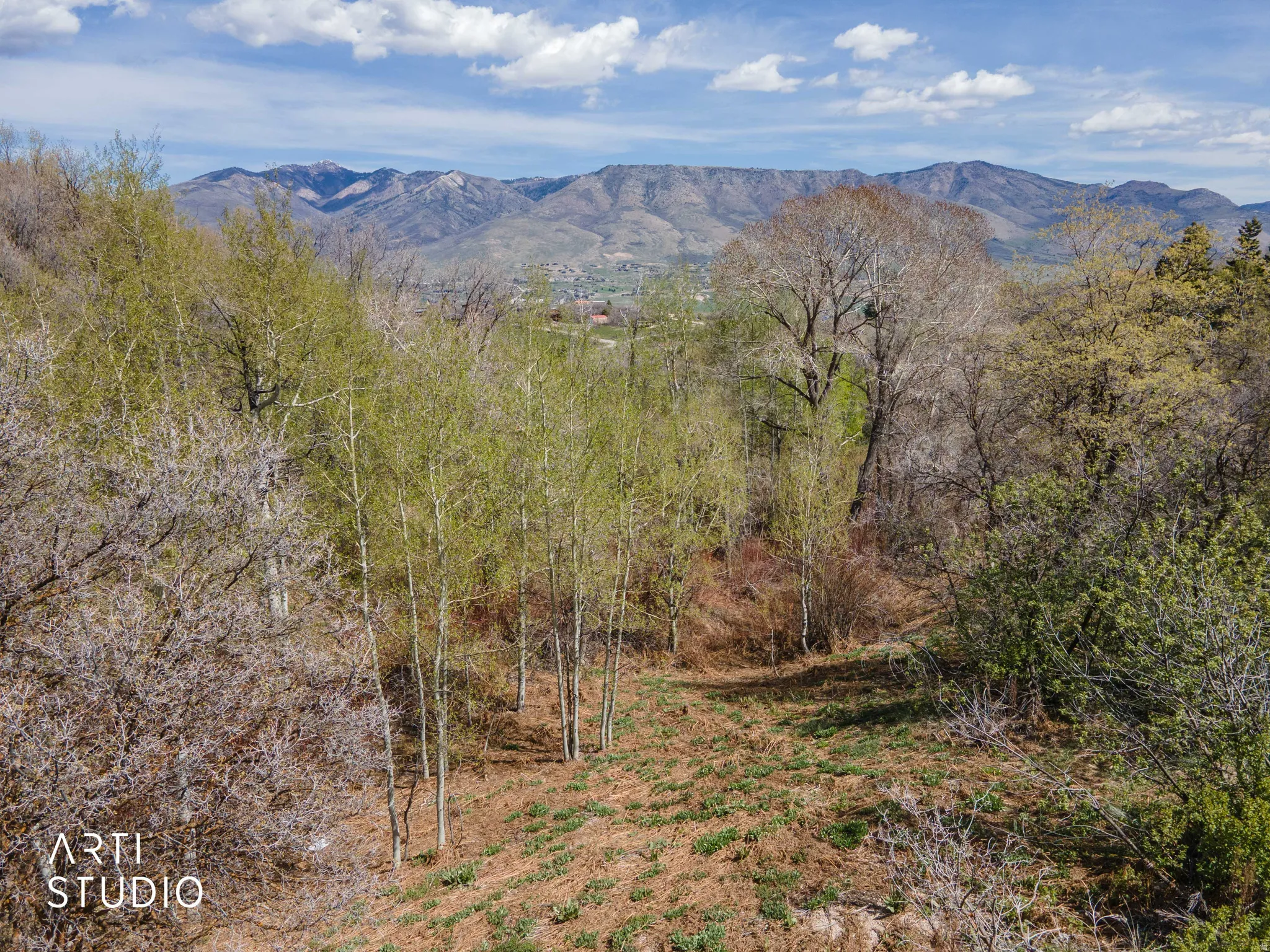 View of mountain backdrop