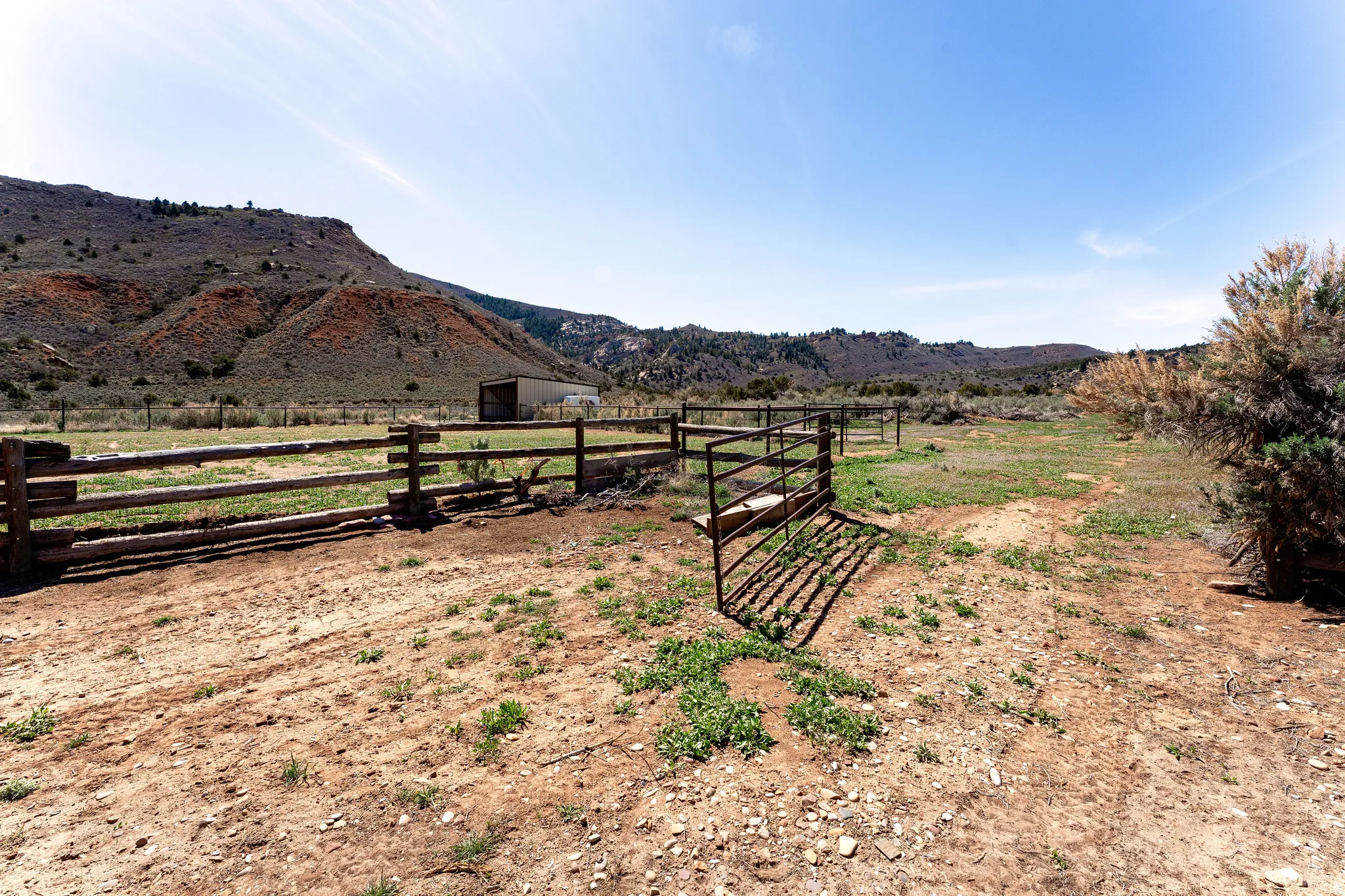 Back pasture area