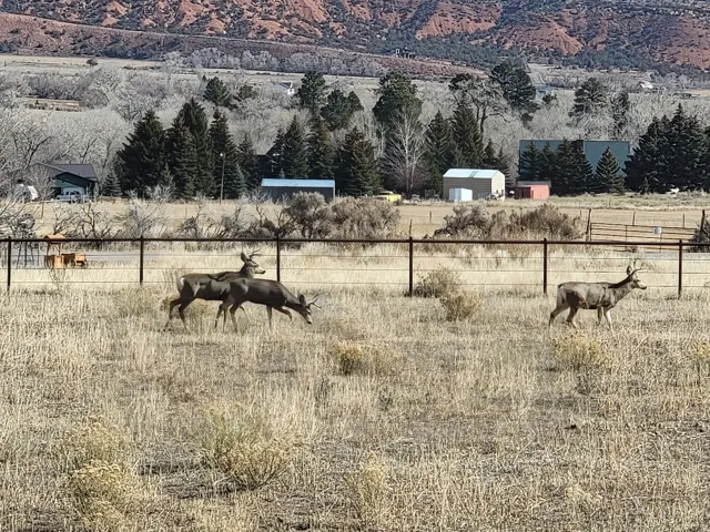 Enjoy the wildlife!