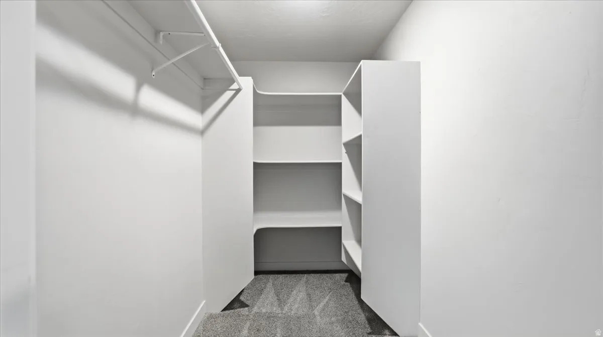 Walk in closet with light colored carpet
