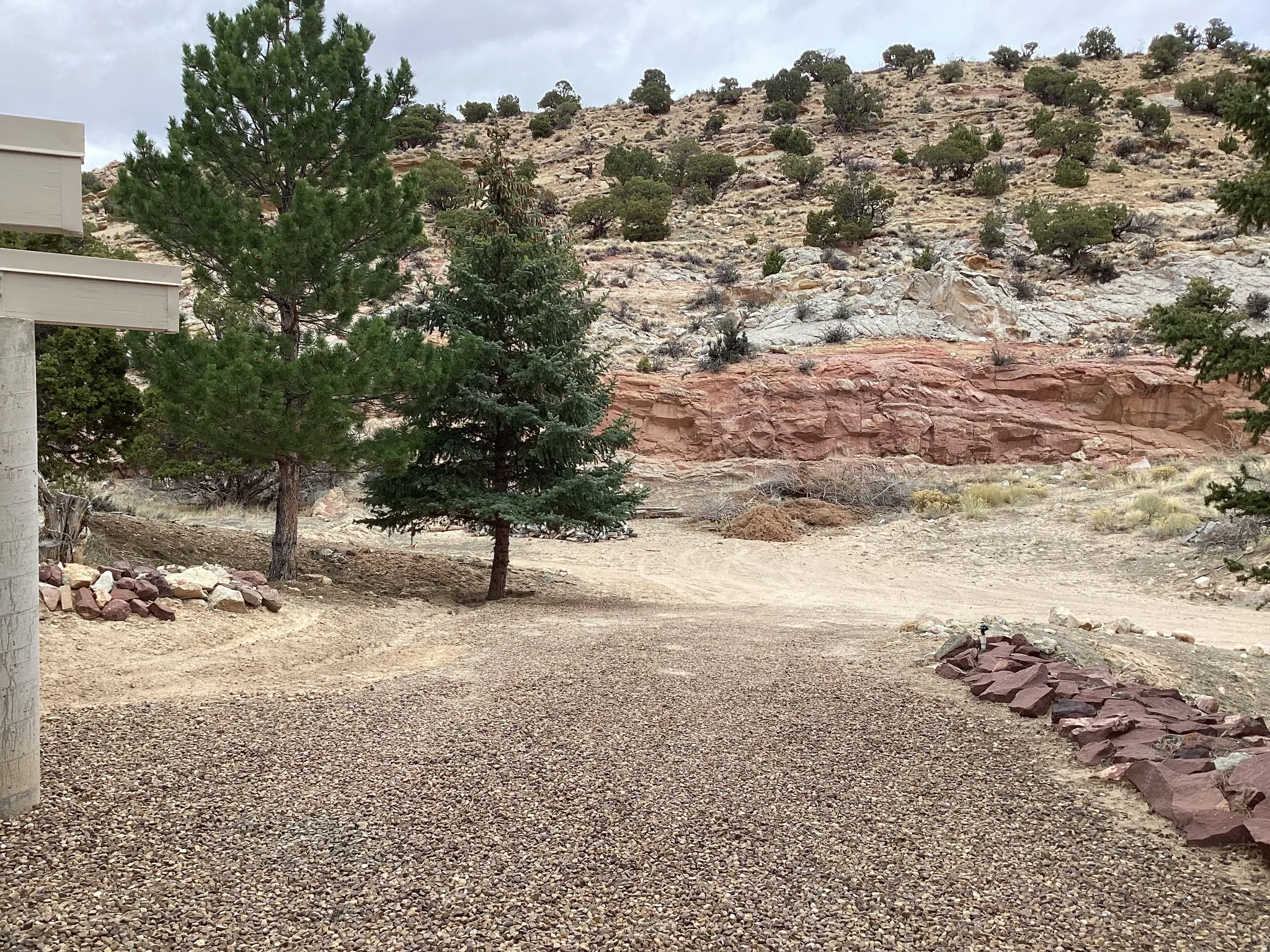 View of local wilderness