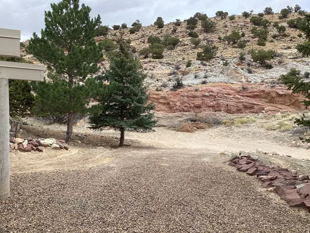 View of local wilderness