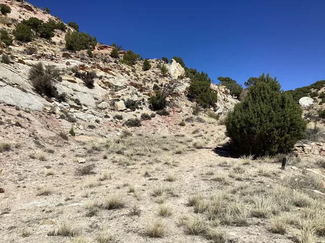 View of local wilderness