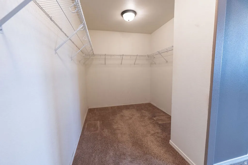 Walk in closet with dark colored carpet