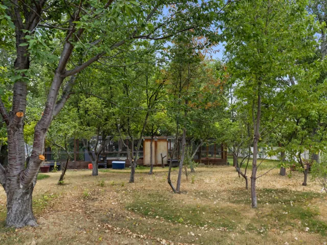 Spacious yard featuring numerous mature trees and a white privacy fence