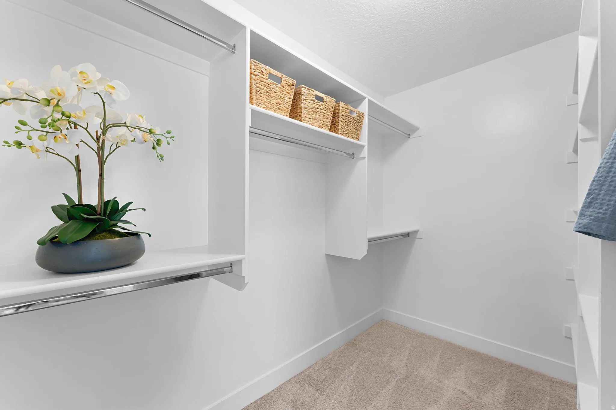 Primary suite walk-in closet with light carpet