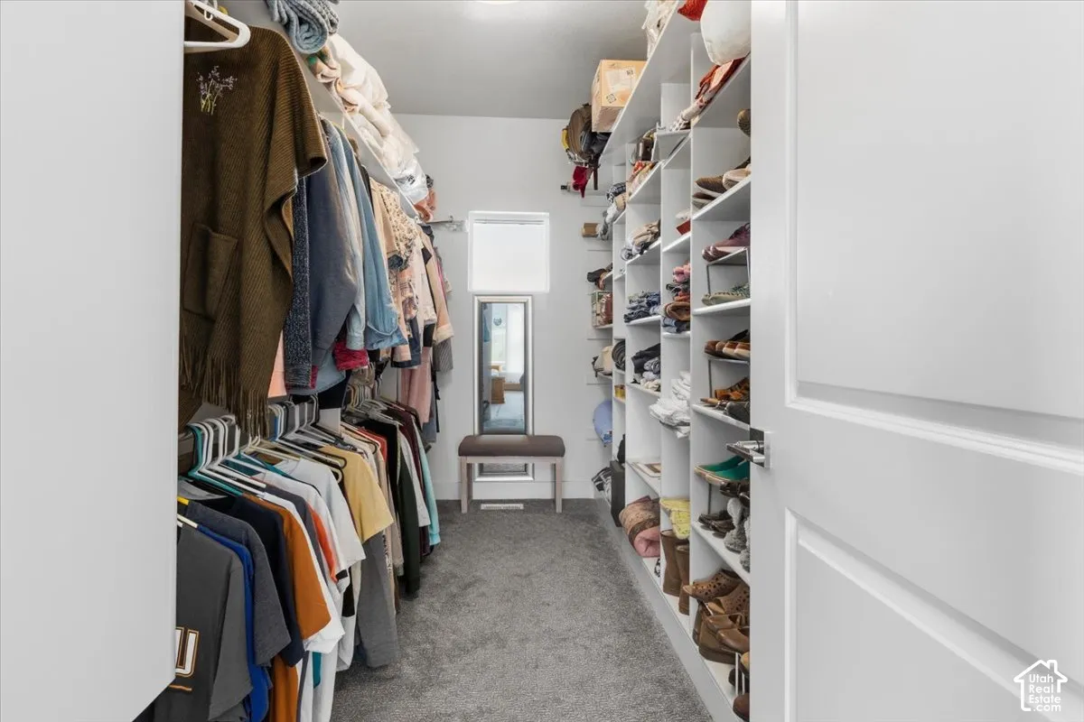 Walk in closet with light colored carpet