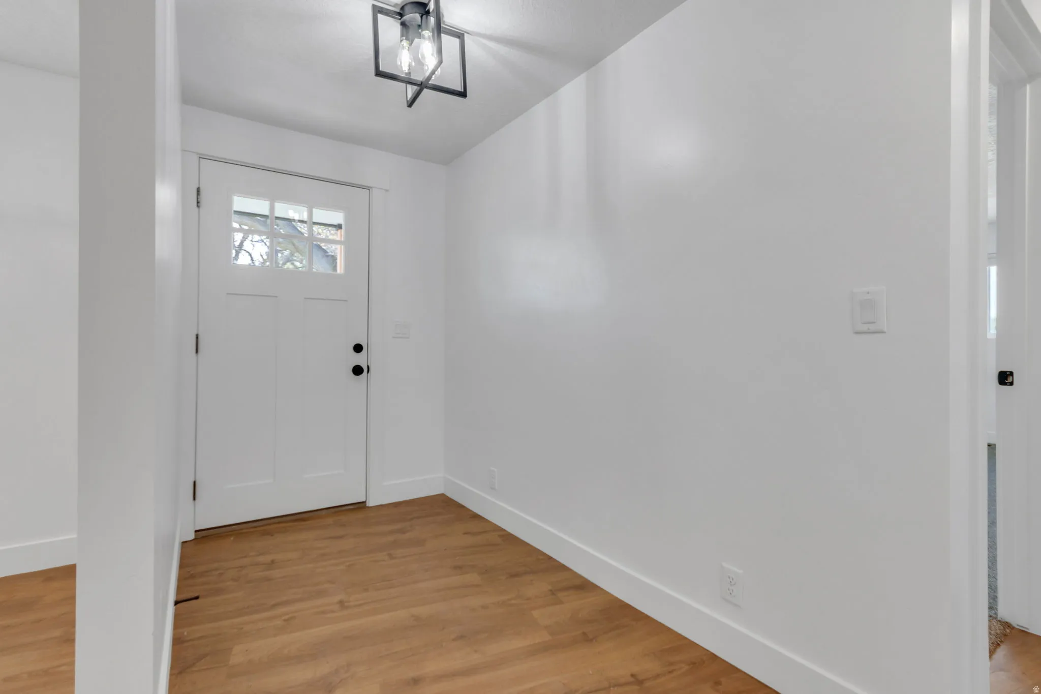 Entrance foyer with light wood LVP flooring.