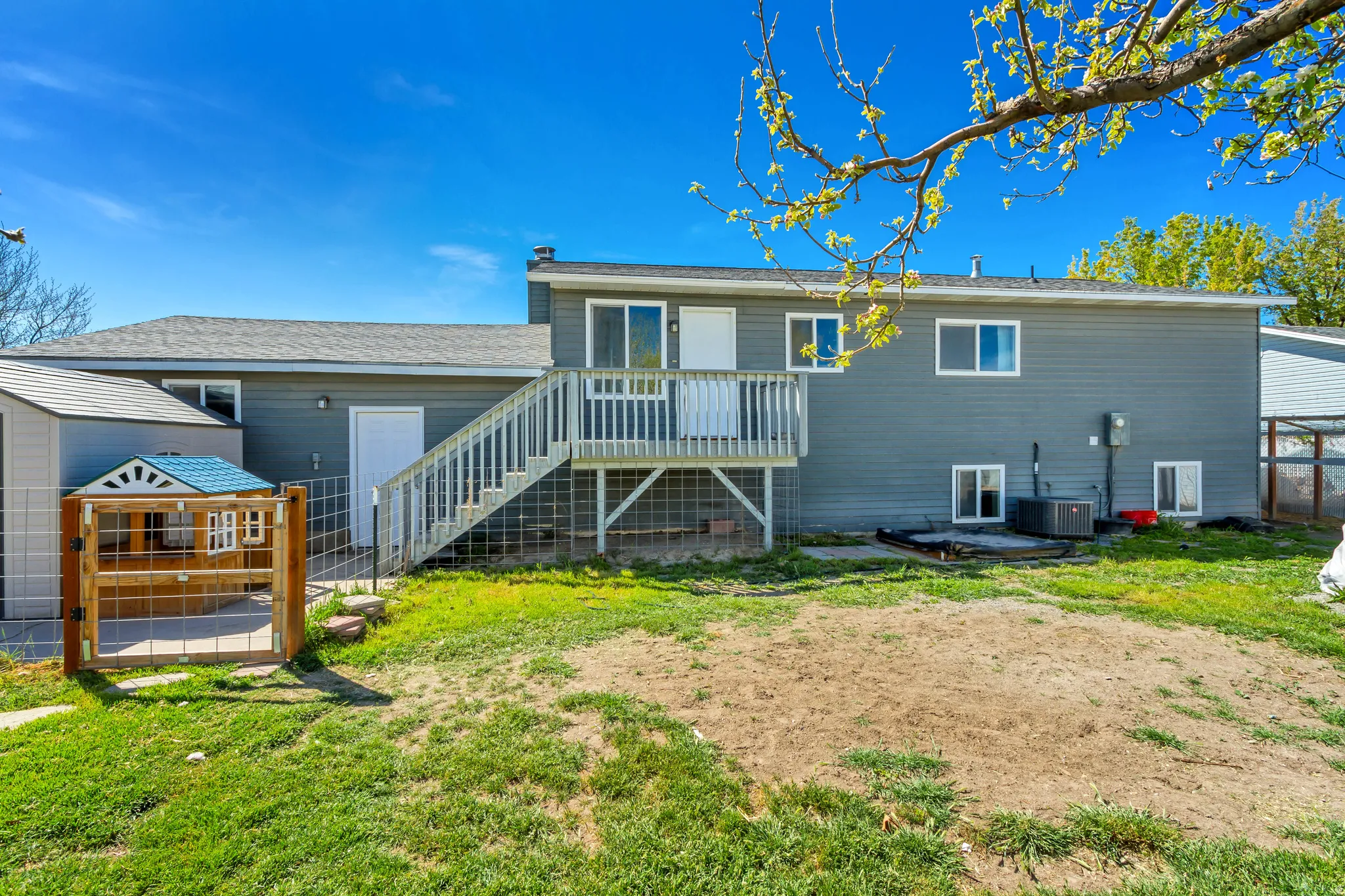 Back of property featuring a patio area, a deck, a yard, and a shingled roof