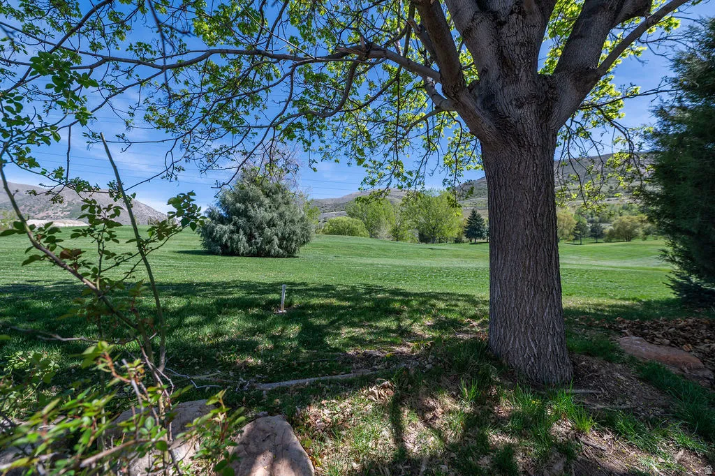 View of the golf course from the back yard.